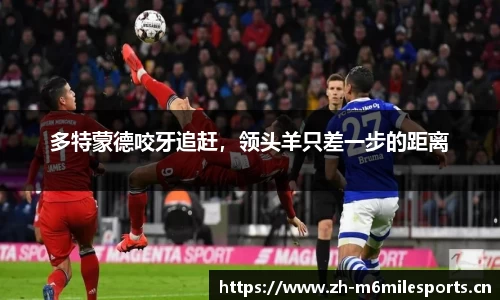 米乐m6体育平台