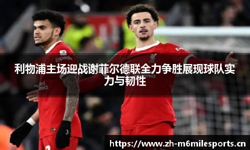 米乐m6体育官方网站